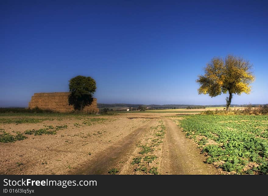 Autumn in the polish field