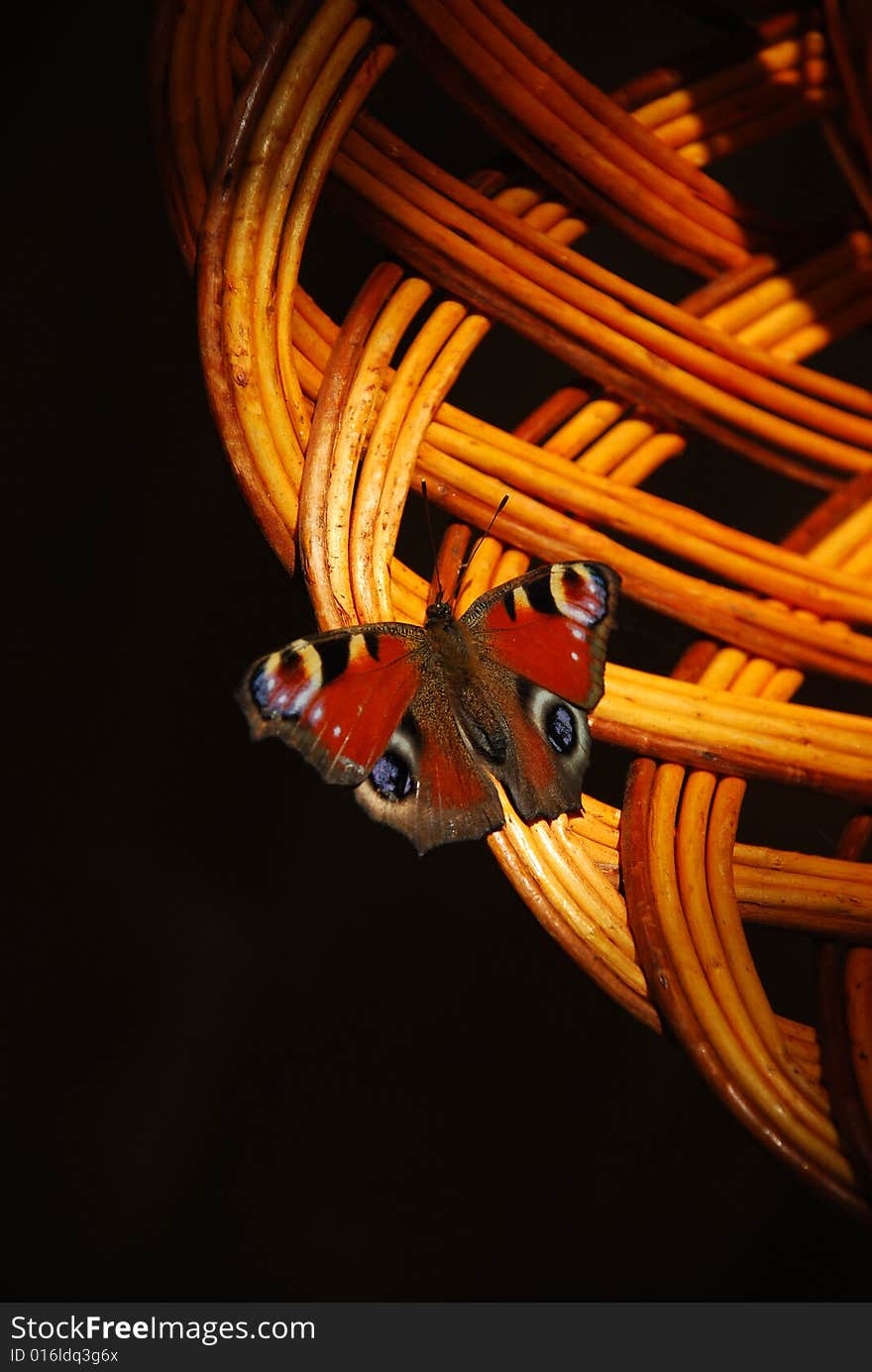 Motley butterfly on the figured basket. Motley butterfly on the figured basket