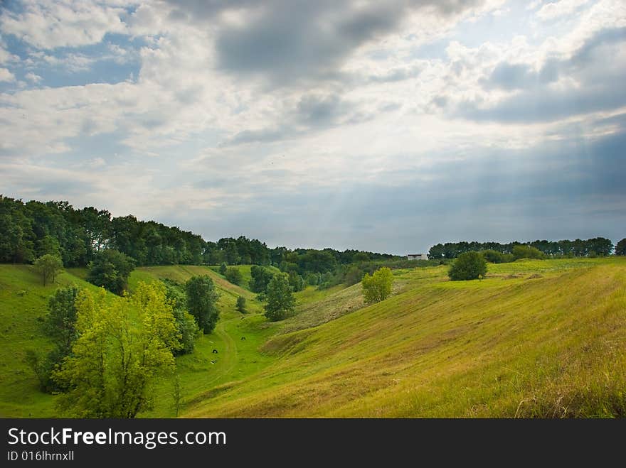 Summer landscape of Ukrainian nature