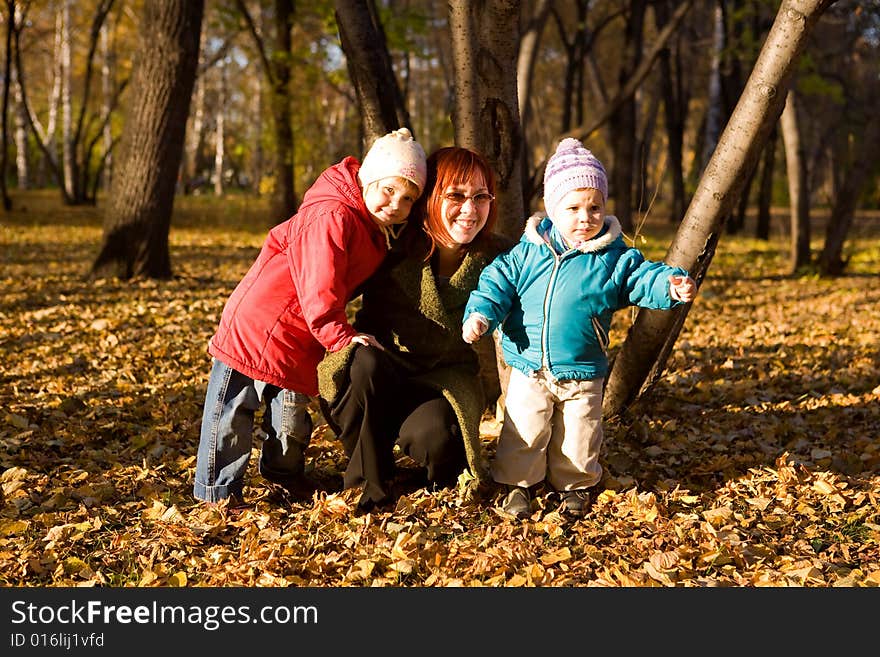 The picture is made during walk on a botanical garden. The picture is made during walk on a botanical garden