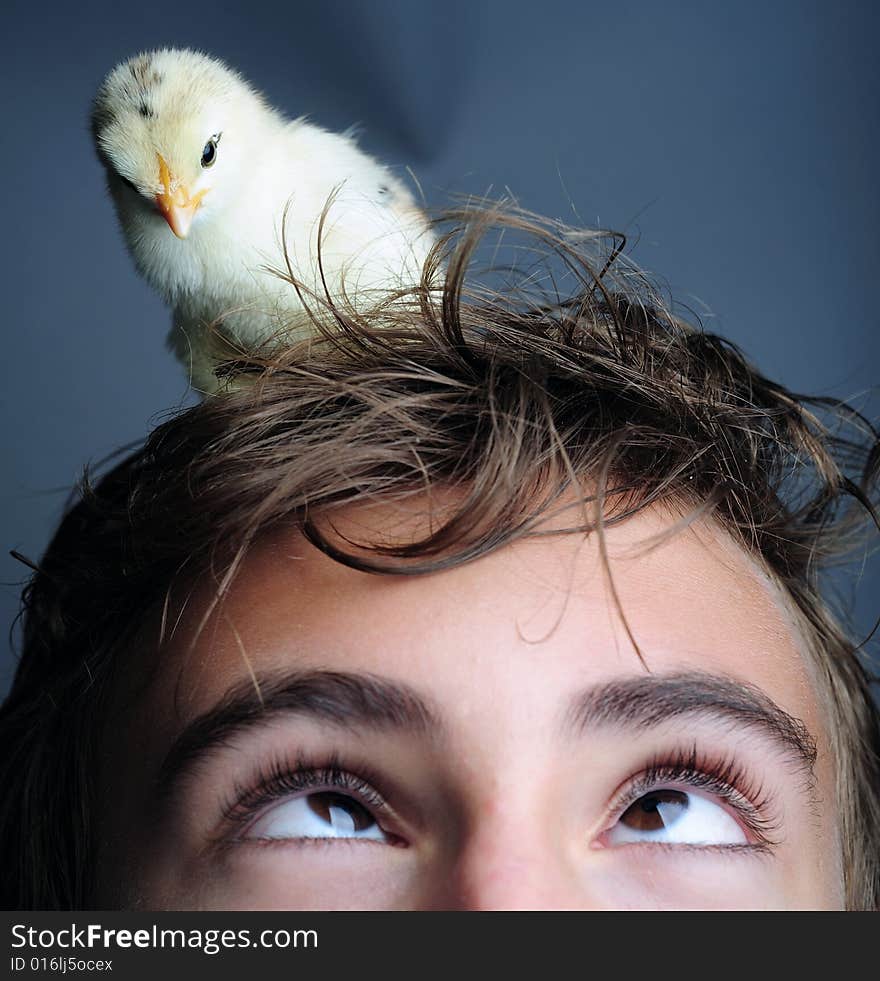 Golden newborn chick standing on boy head, close up