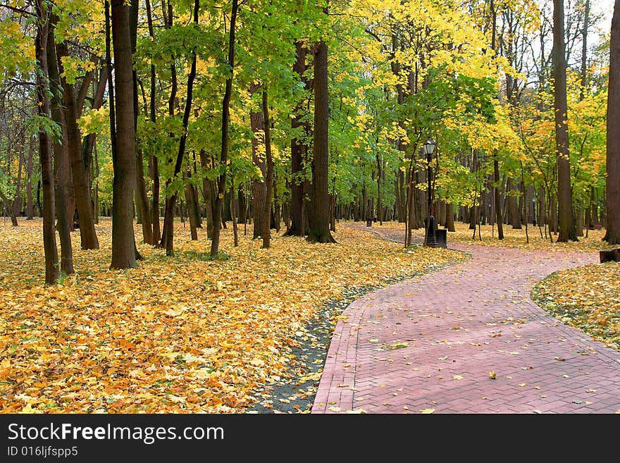 An autumn track