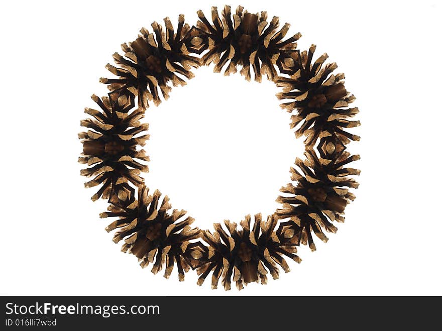 Pine cones circle