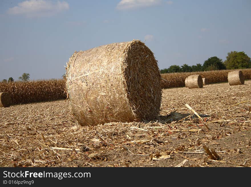 A particular of a strow bale