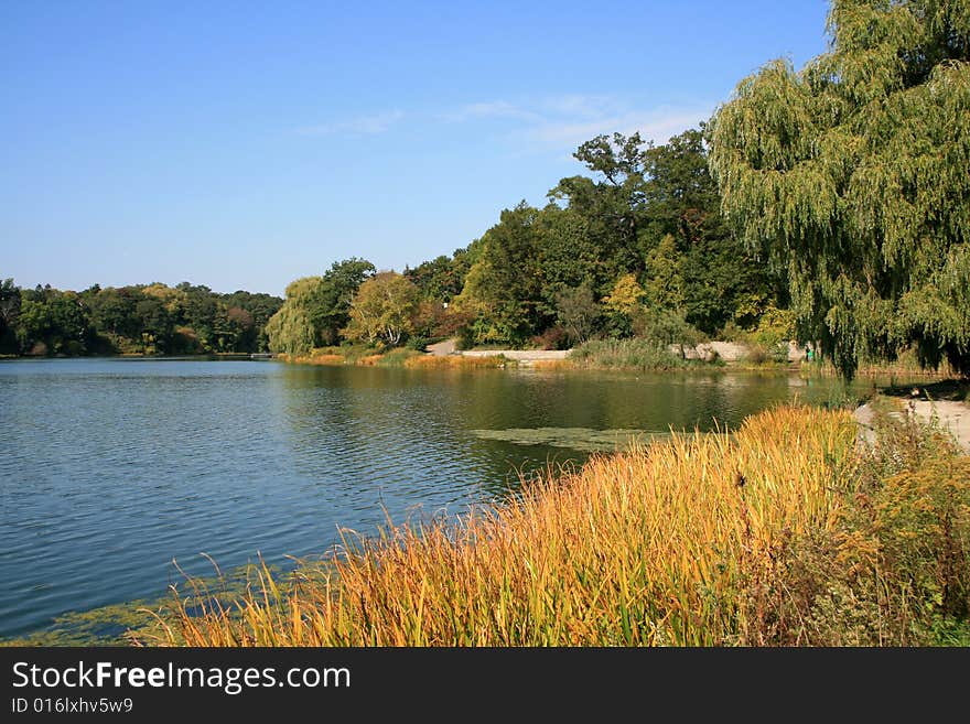 Fall landscape with pond and trees