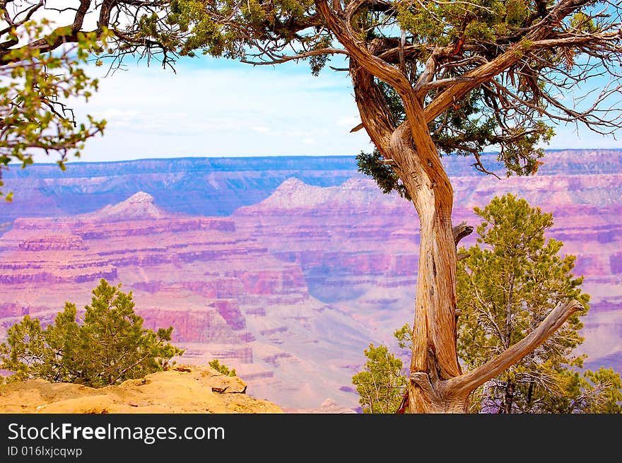 A photo of the Grand Canyon in Arizona