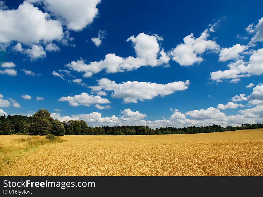 Country landscape