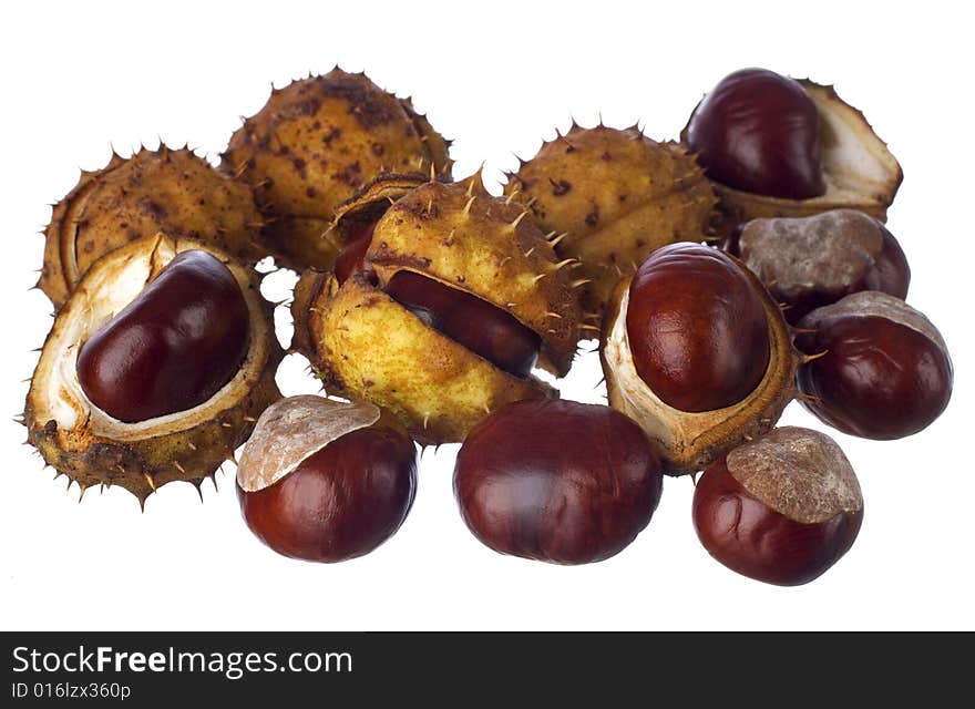 Chestnuts isolated on white close up shoot