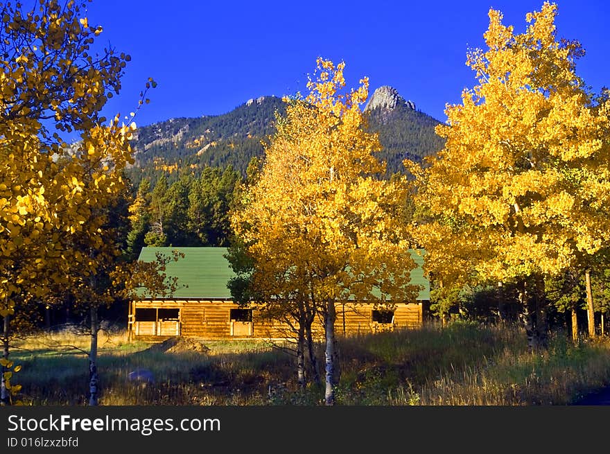 A red country barn in Colorado amongst Golden Autumn trees. A red country barn in Colorado amongst Golden Autumn trees