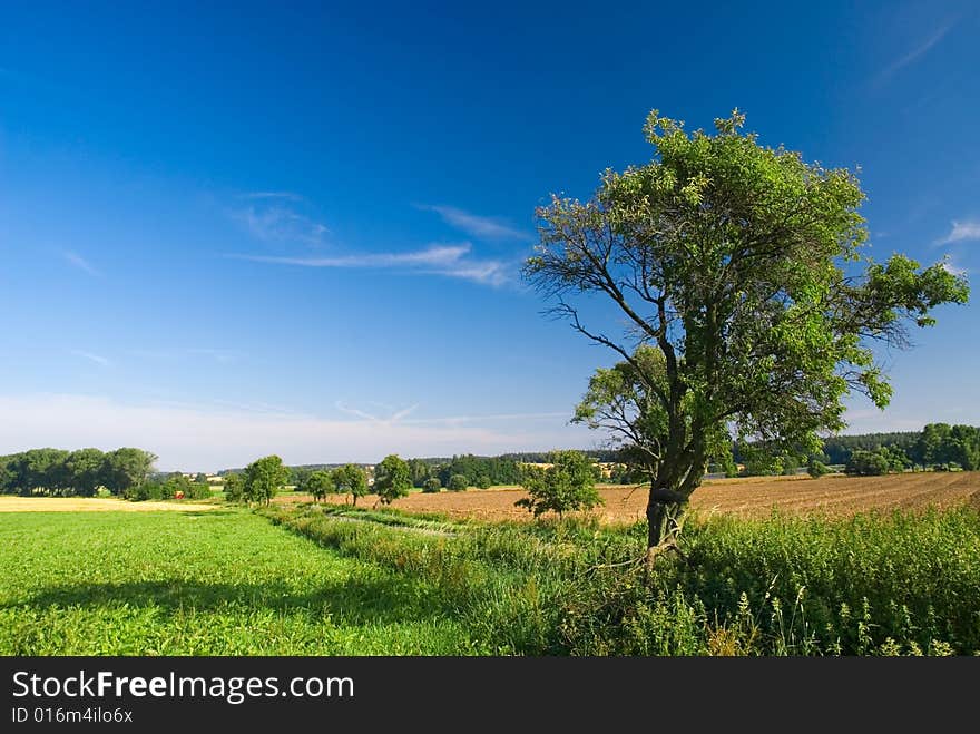 Country landscape