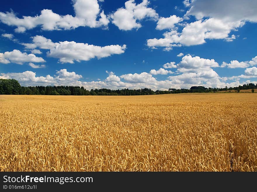 Country landscape