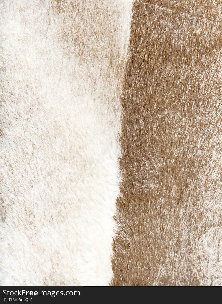 Brown and white fur texture