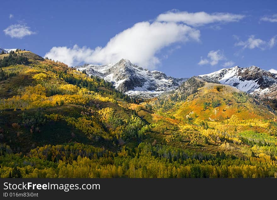 High Mountain Flat in the fall showing all the fall colors with mountains in the background. High Mountain Flat in the fall showing all the fall colors with mountains in the background