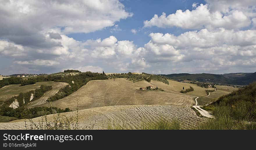 Tuscan landscape