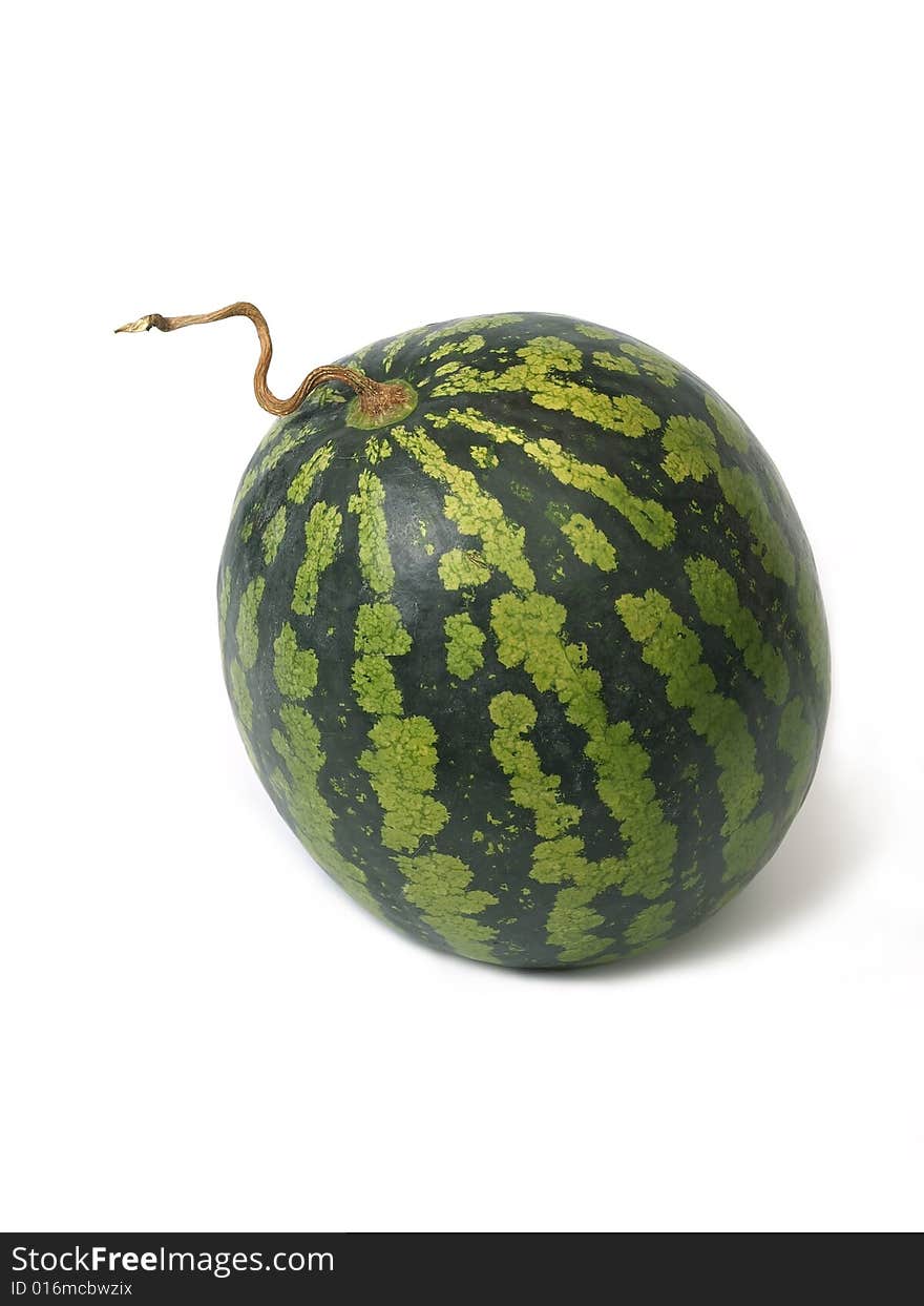 Water-melon with tendril isolated on white