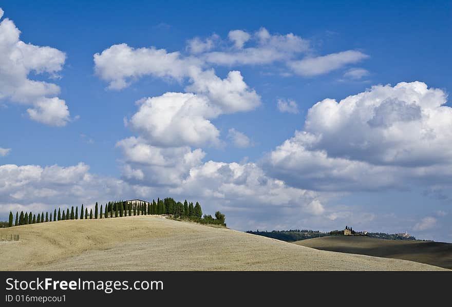 Tuscan landscape