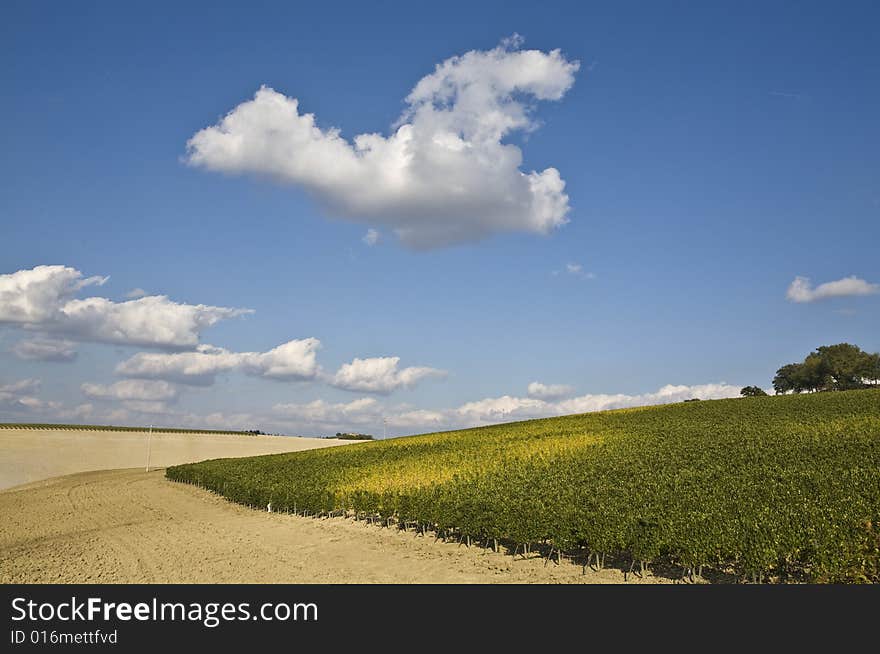 Tuscan landscape