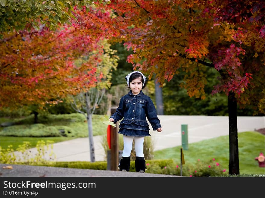 A toddler enjoying the fall in the neighborhood. A toddler enjoying the fall in the neighborhood