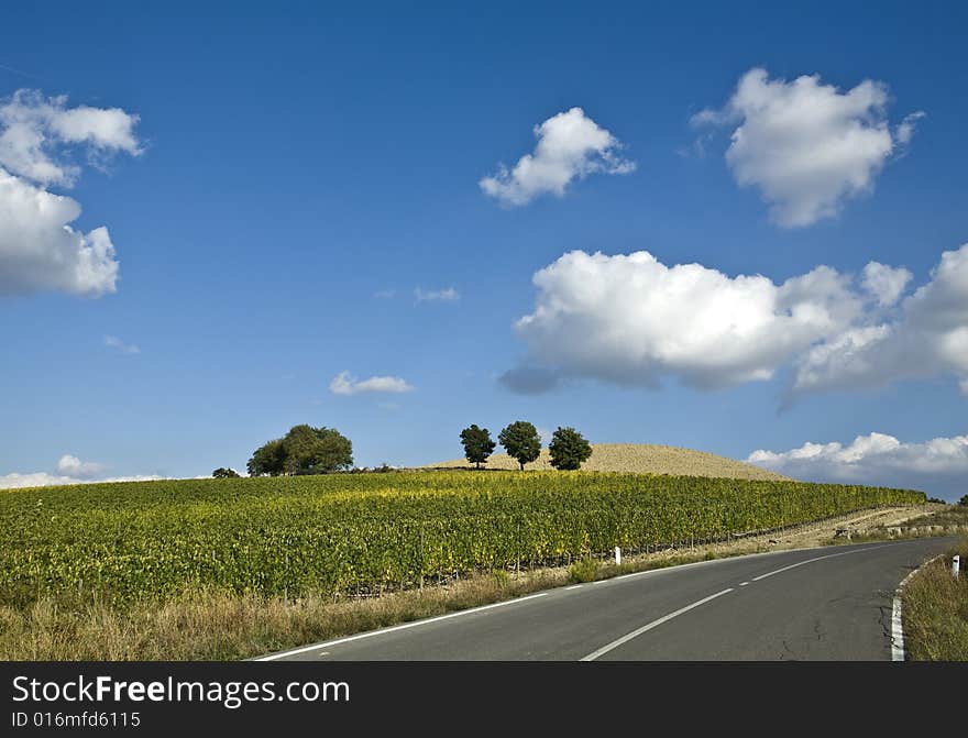 Tuscan Landscape