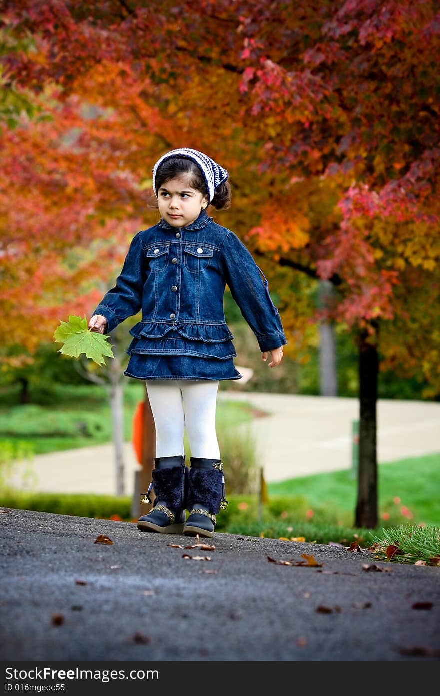 A toddler enjoying the fall in the neighborhood. A toddler enjoying the fall in the neighborhood