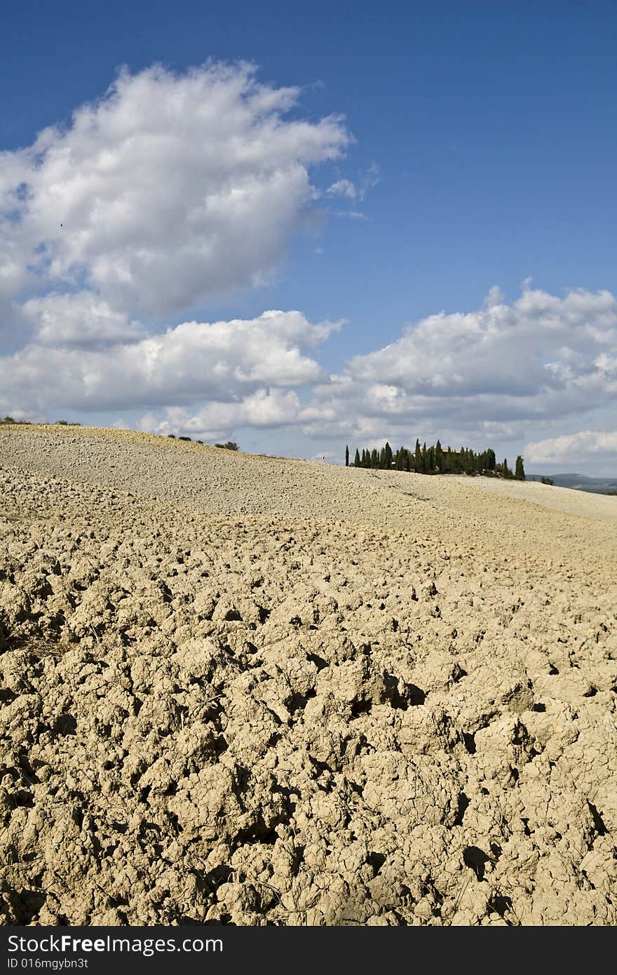 Tuscan landscape