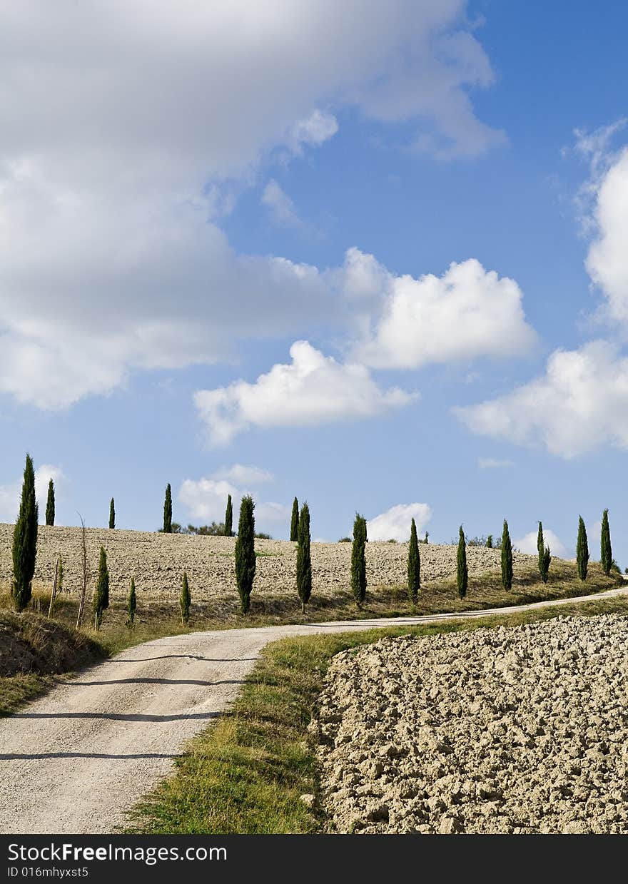 Tuscan landscape