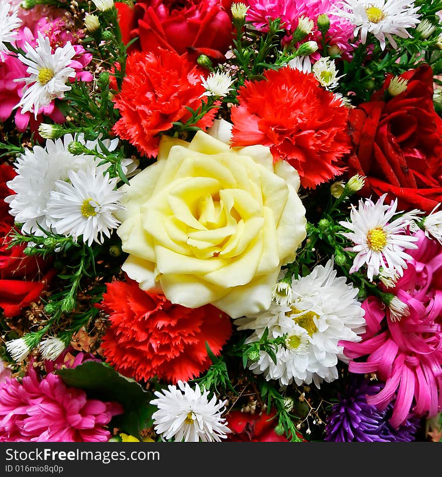 Many colorful flowers in floral background