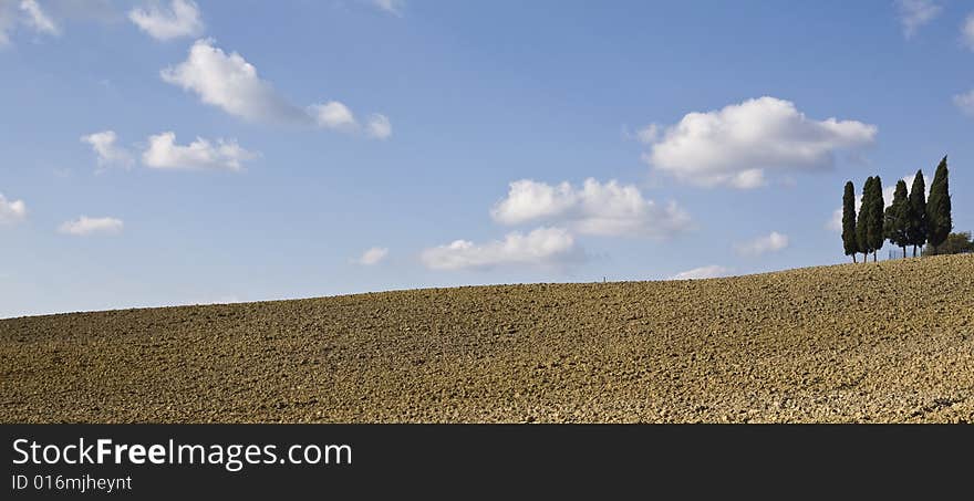 Cypress trees on the hill top - typical tuscan landscape