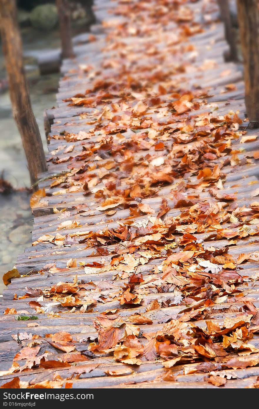 Autumn leaves on wooden bridge