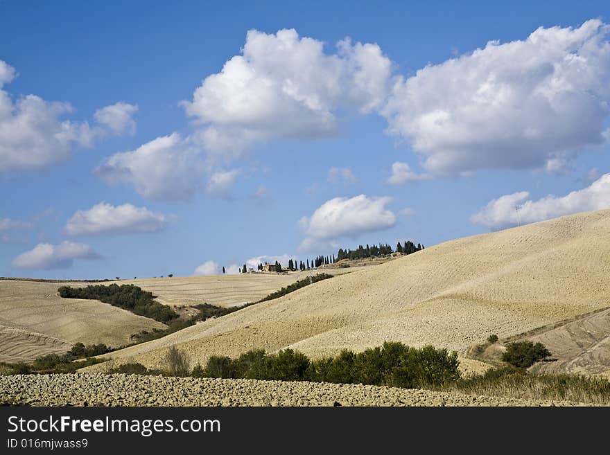 Tuscan landscape