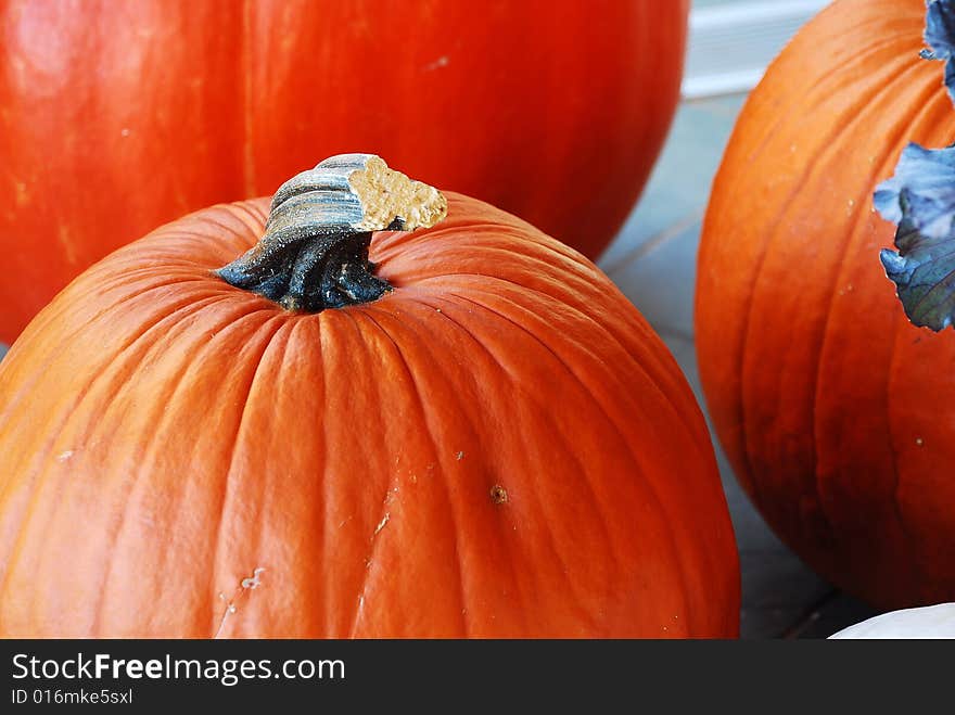 This is a shot of a few pumpkins.