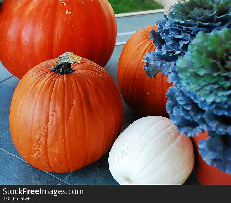 This is a shot of a few pumpkins.