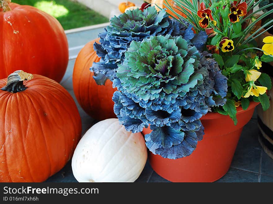 This is a shot of a few pumpkins.