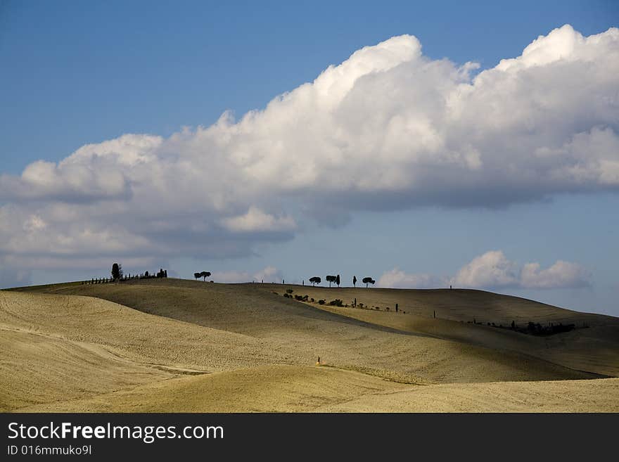 Tuscan landscape