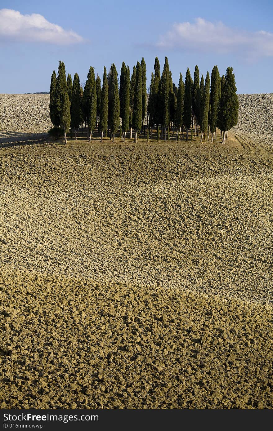 Tuscan landscape