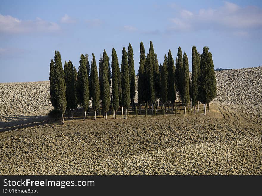 Tuscan landscape