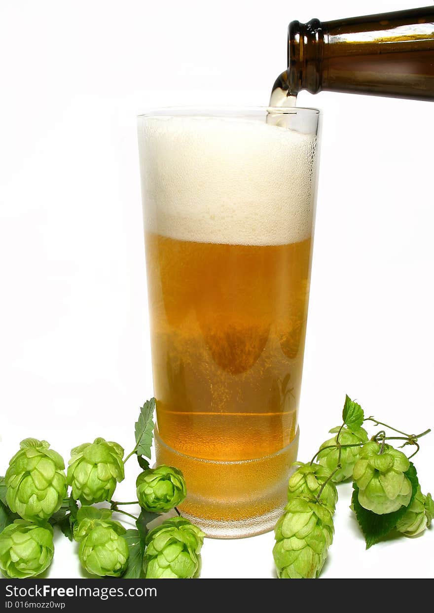 Detail beer in glass and hop-plant