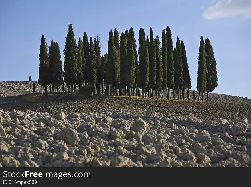 Tuscan Landscape