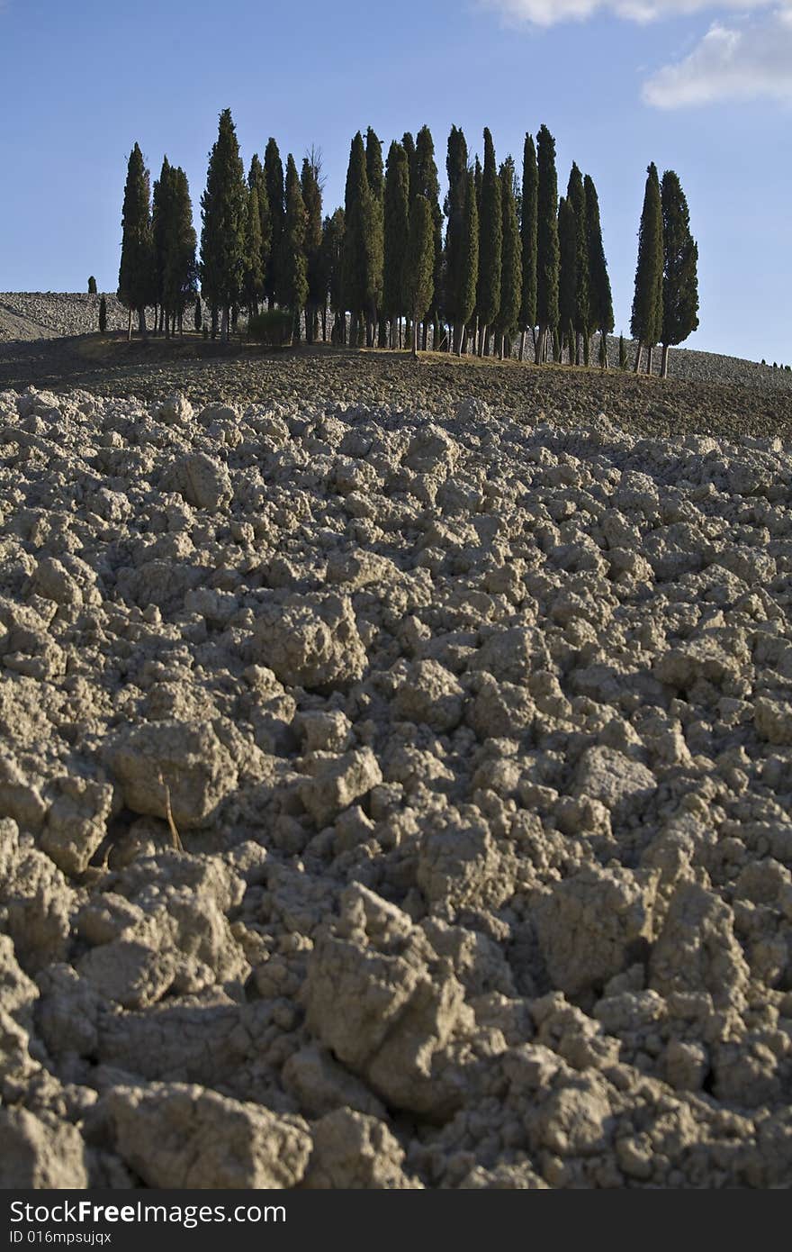 Tuscan Landscape