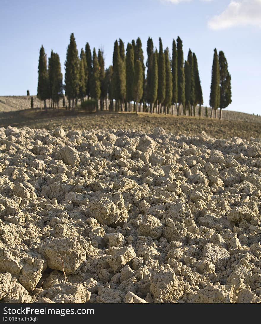 Tuscan landscape