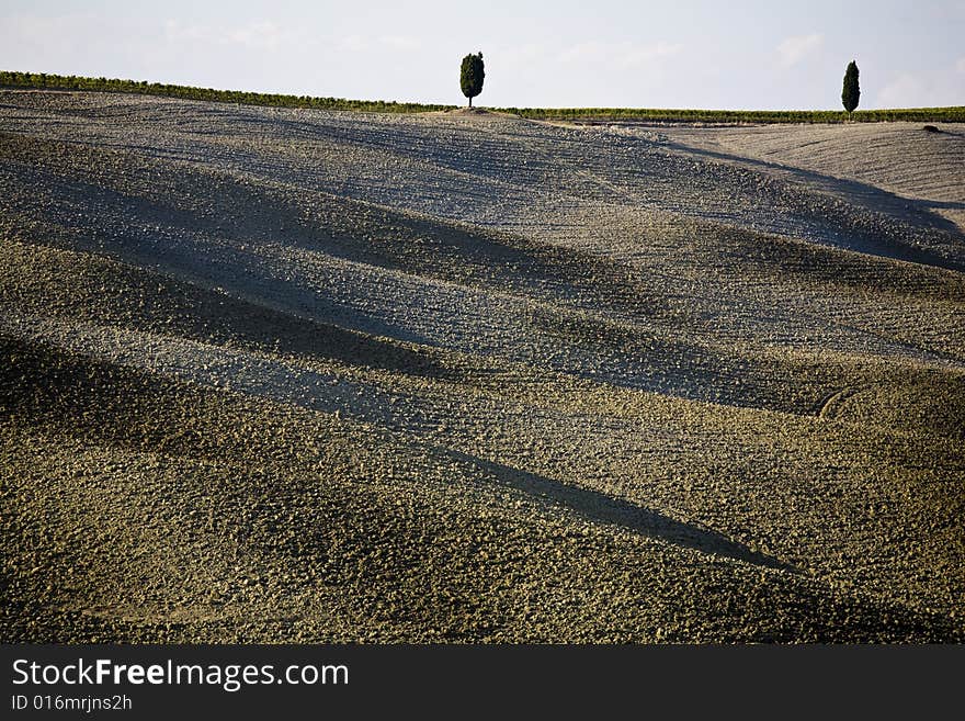 Tuscan landscape