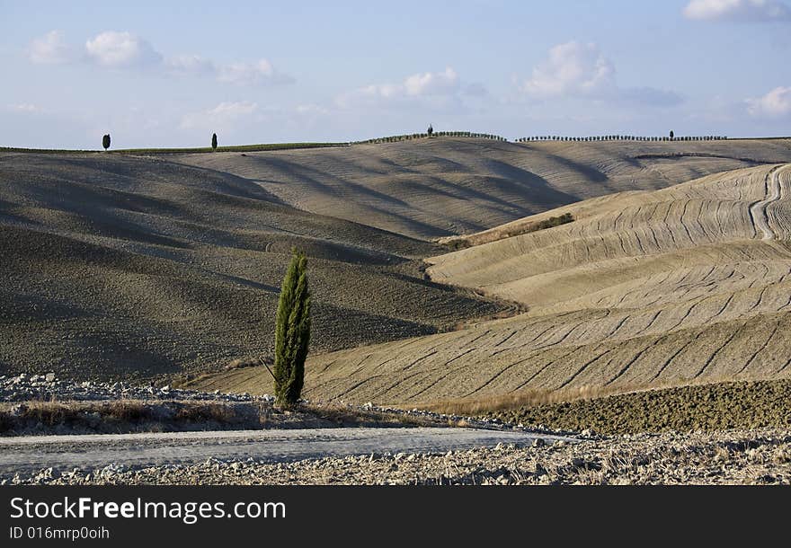 Tuscan landscape