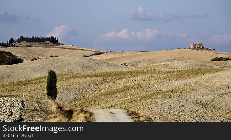 Cypress trees on the hill top - typical tuscan landscape. Cypress trees on the hill top - typical tuscan landscape