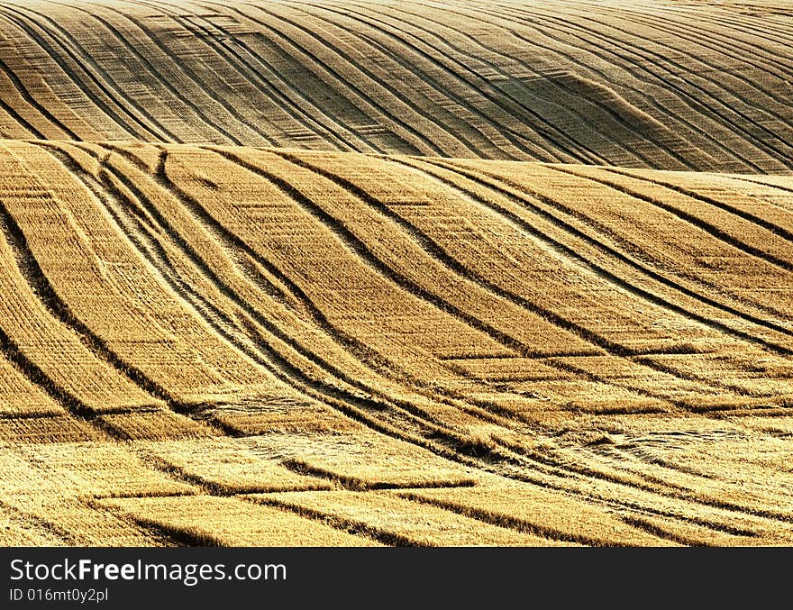 The field in the Czech Republic after the harvest. The field in the Czech Republic after the harvest.