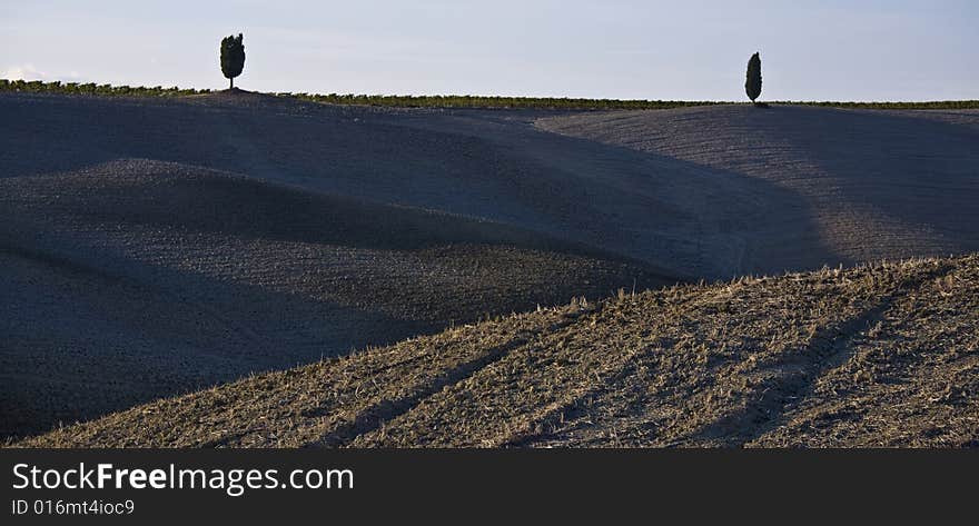 Tuscan landscape