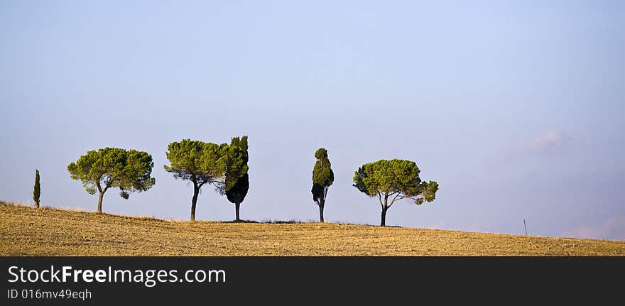 Image of a relaxing countryside in Tuscan. Image of a relaxing countryside in Tuscan