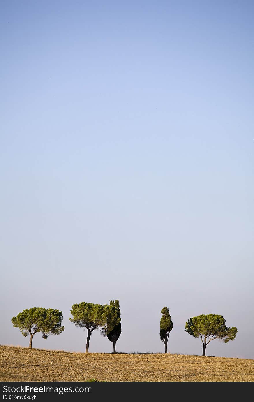 Tuscan countryside