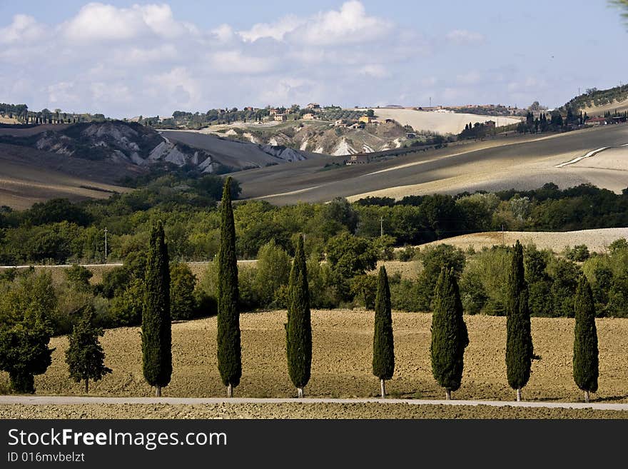 Tuscan landscape