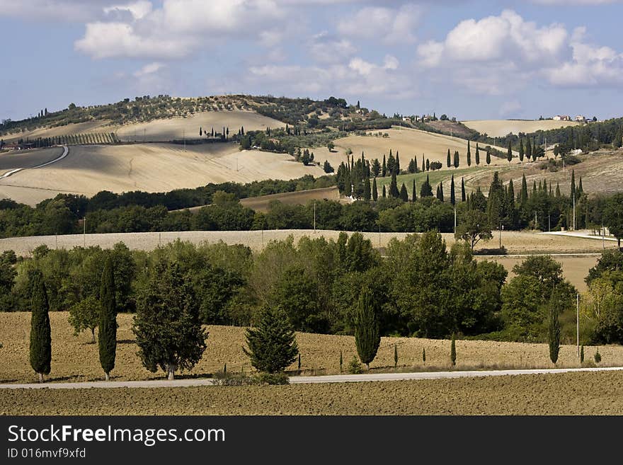 Tuscan Landscape