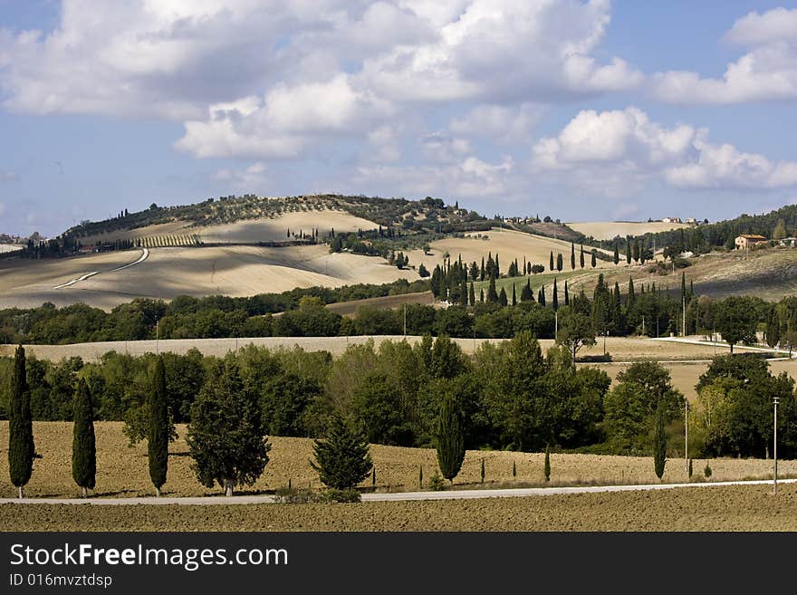 Tuscan landscape